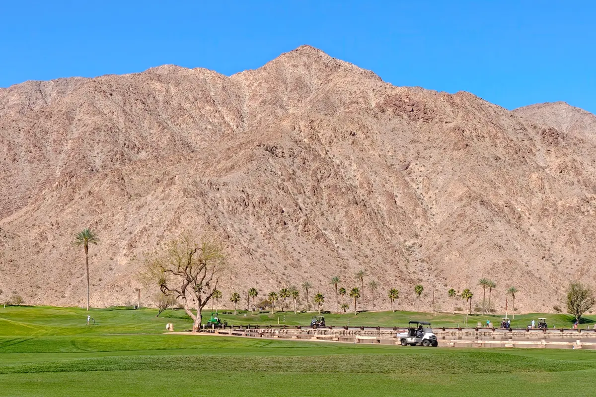 A bare deciduous tree and a line of palms standing in irrigated golf course turf below the desert mountains at Indian Wells, California